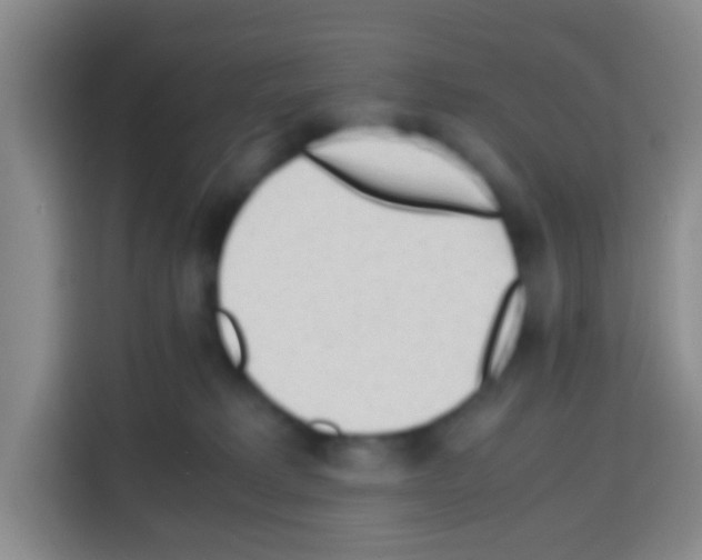 X0000112970229200910081052