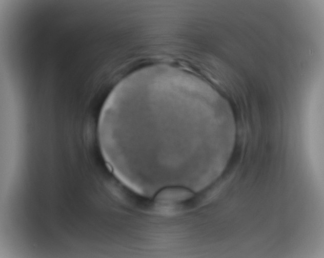 X0000112970231200910081052