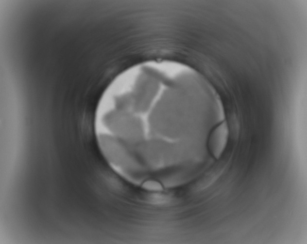 X0000112970232200910081052