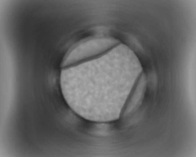 X0000112970233200910081052