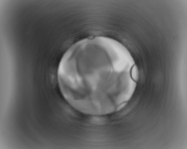 X0000112970234200910081052