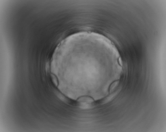 X0000112970238200910081052