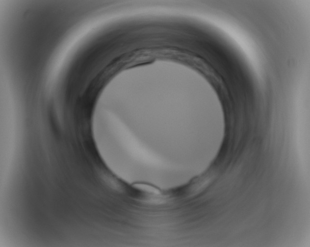X0000112970239200910081052