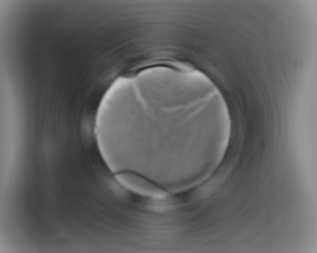 X0000112970240200910081052