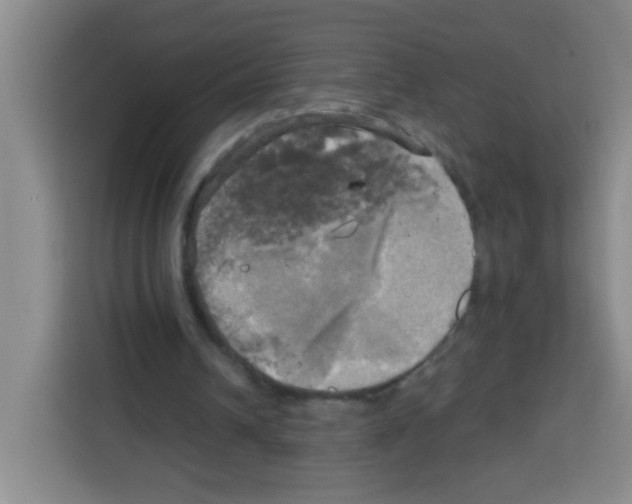 X0000112970242200910081051