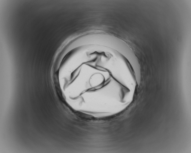 X0000112970244200910081051