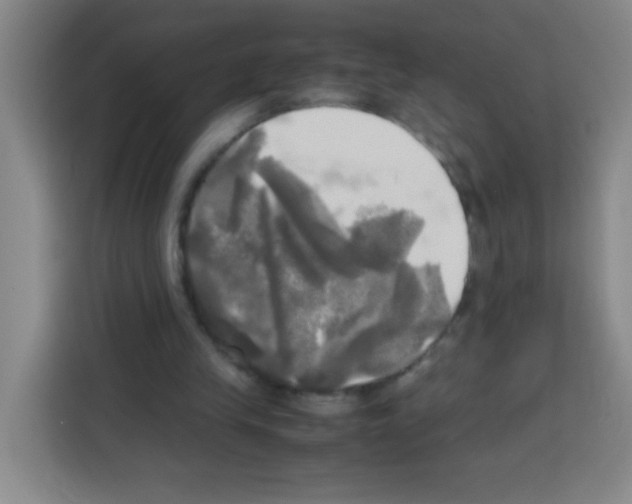 X0000112970245200910081051