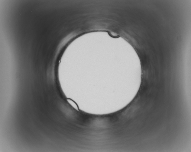 X0000112970248200910081051
