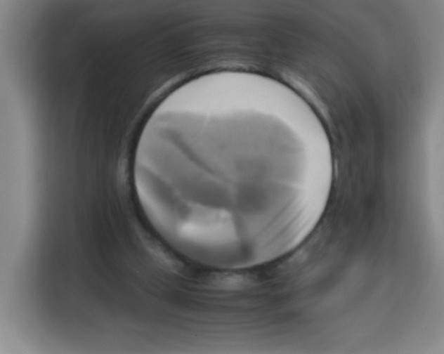 X0000112970249200910081051