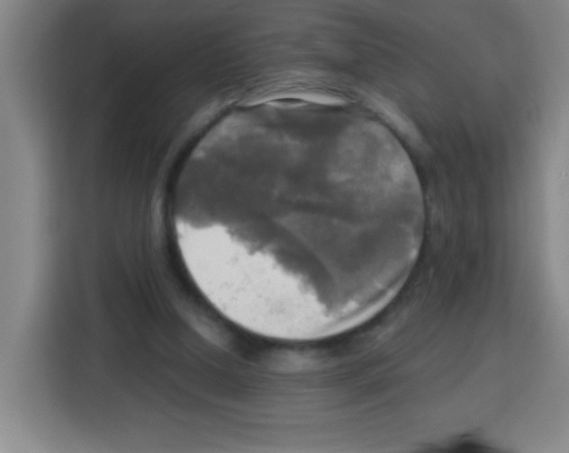 X0000112970250200910081051