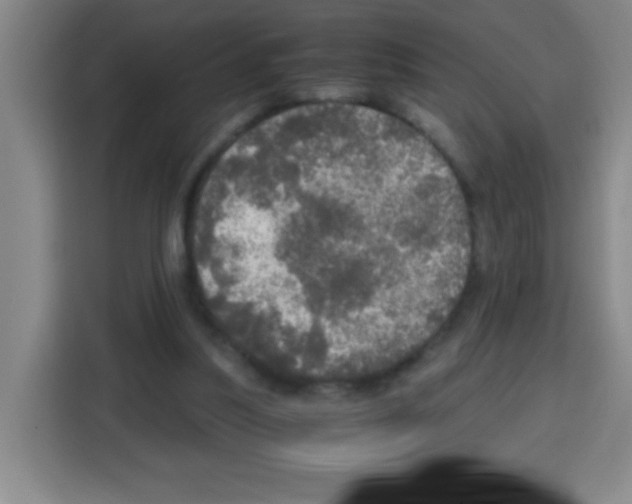 X0000112970251200910081051