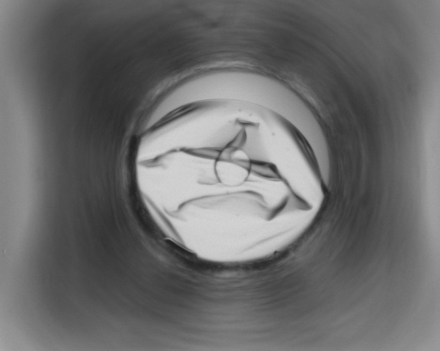 X0000112970252200910081051