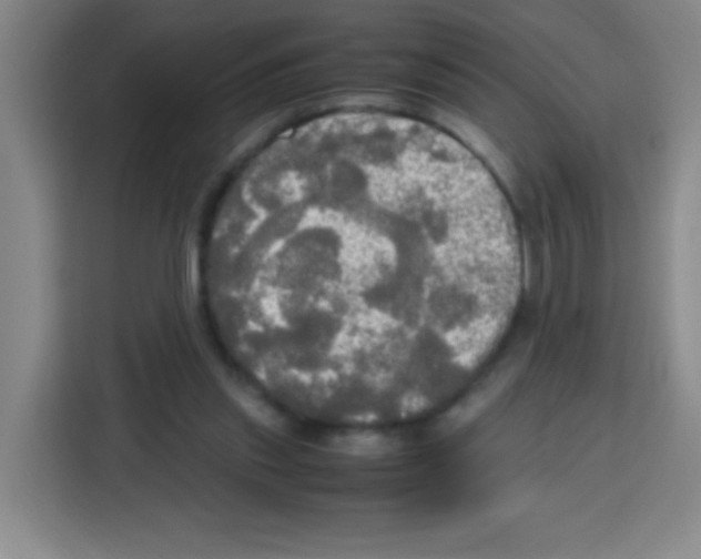 X0000112970253200910081051