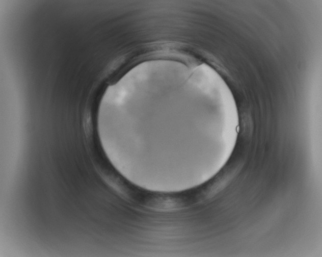 X0000112970254200910081051