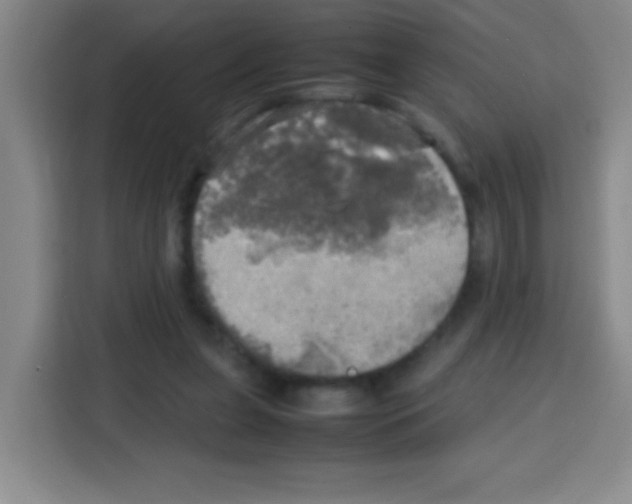 X0000112970255200910081051