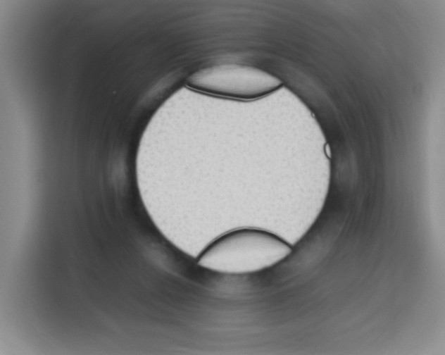 X0000112970256200910081051