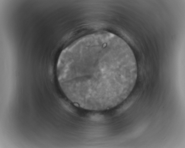 X0000112970258200910081051
