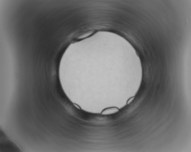 X0000112970260200910081051