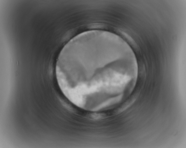 X0000112970261200910081051