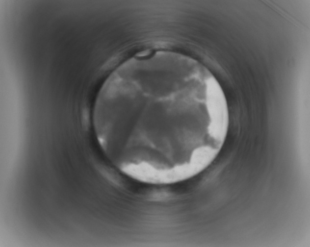 X0000112970262200910081051