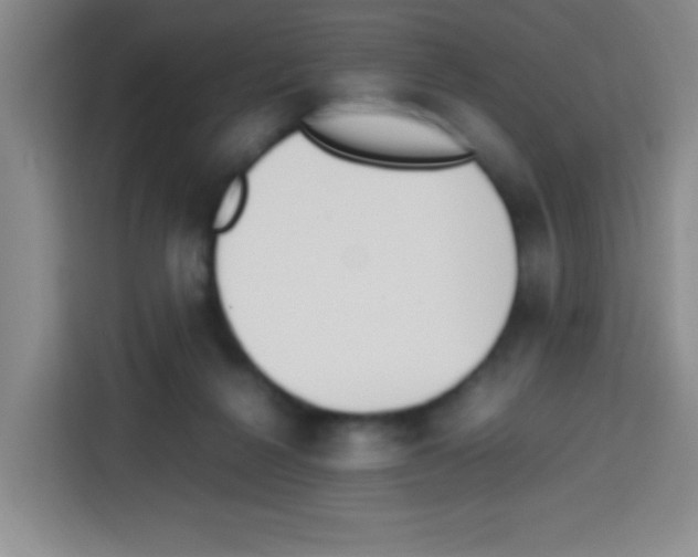 X0000112970264200910081051