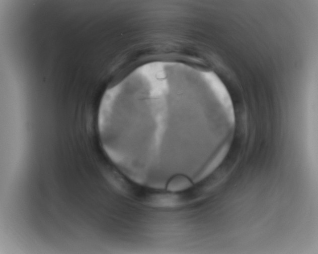 X0000112970266200910081051