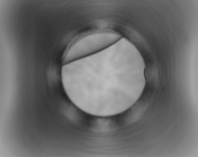 X0000112970272200910081051