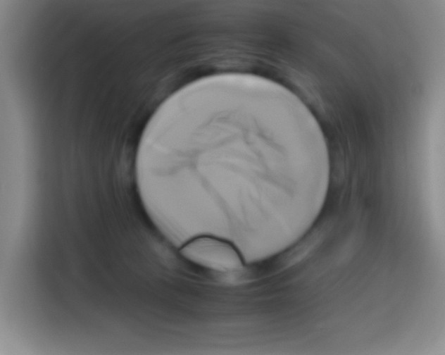 X0000112970273200910081051