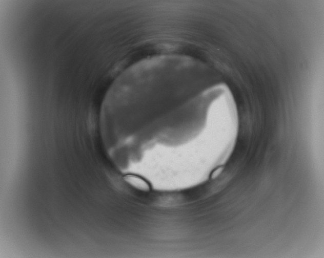X0000112970274200910081051