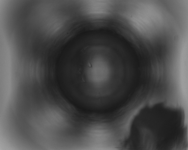 X0000112970276200910081051