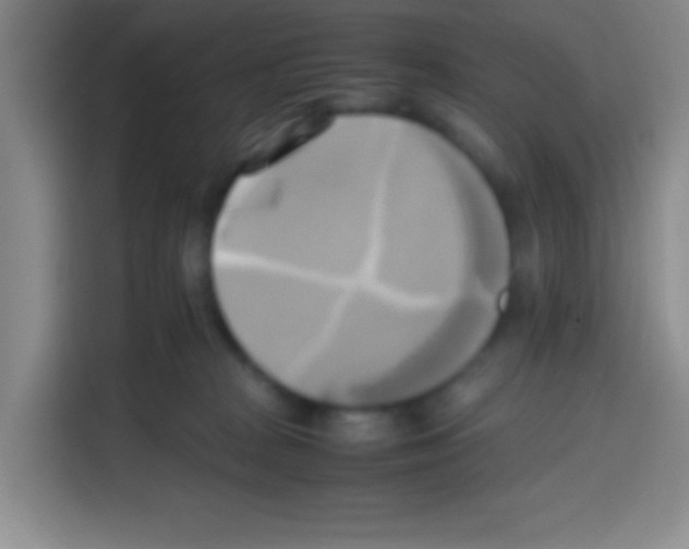 X0000112970277200910081052