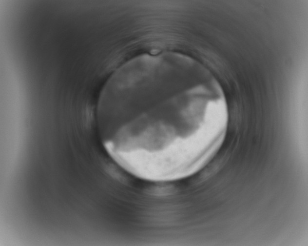 X0000112970278200910081052