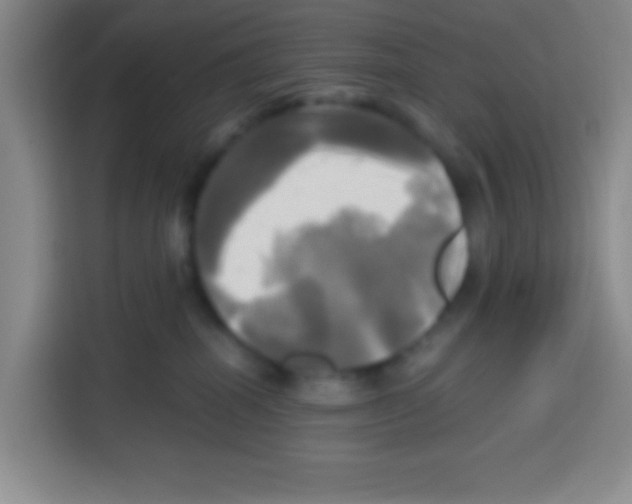 X0000112970282200910081052