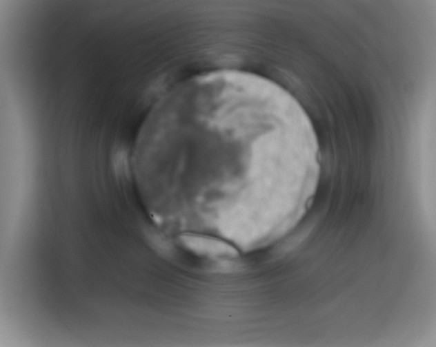X0000112970286200910081052