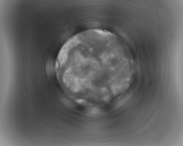 X0000112970287200910081052