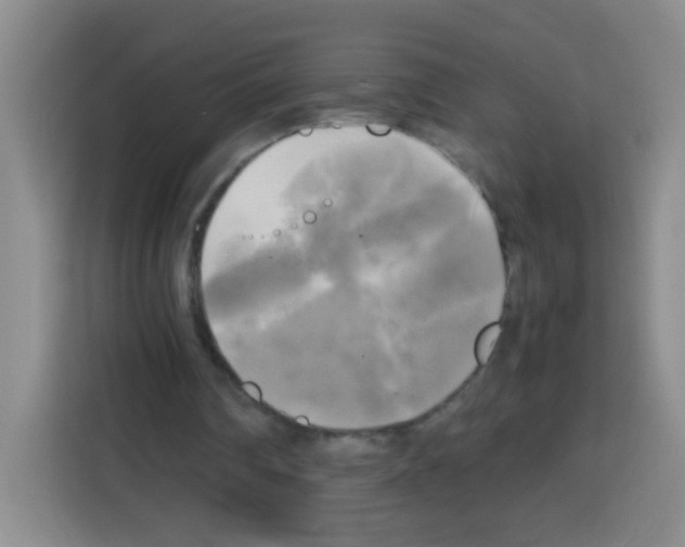 X0000112970290200910081051