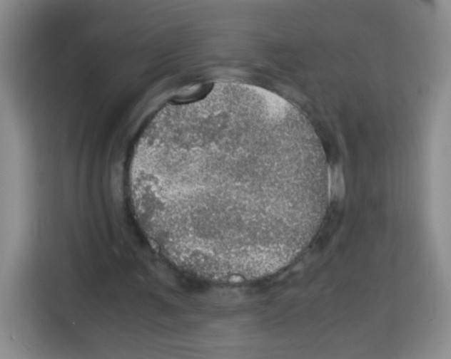 X0000112970291200910081051