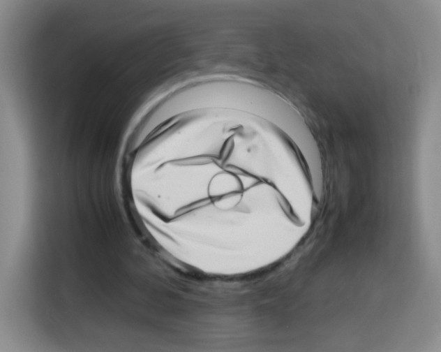 X0000112970292200910081051