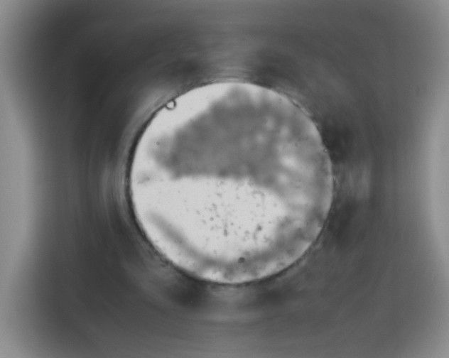 X0000112970293200910081051