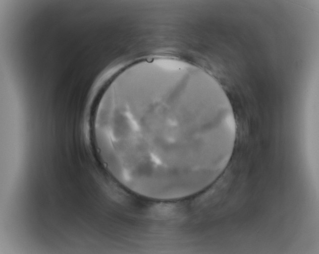 X0000112970294200910081051