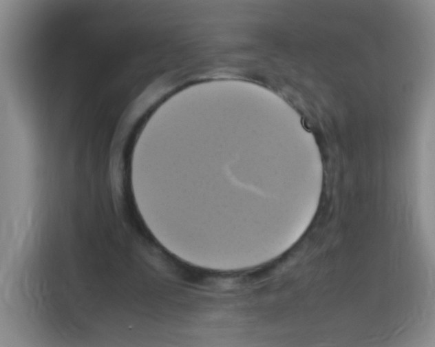 X0000112970295200910081051