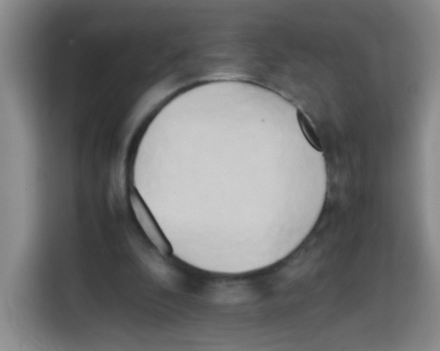 X0000112970296200910081051