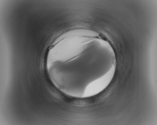 X0000112970299200910081051