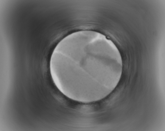 X0000112970303200910081051