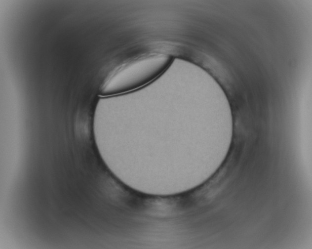 X0000112970305200910081051