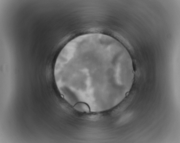 X0000112970306200910081051