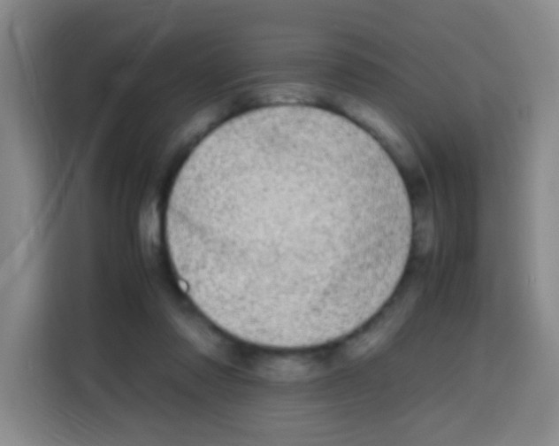 X0000112970310200910081051
