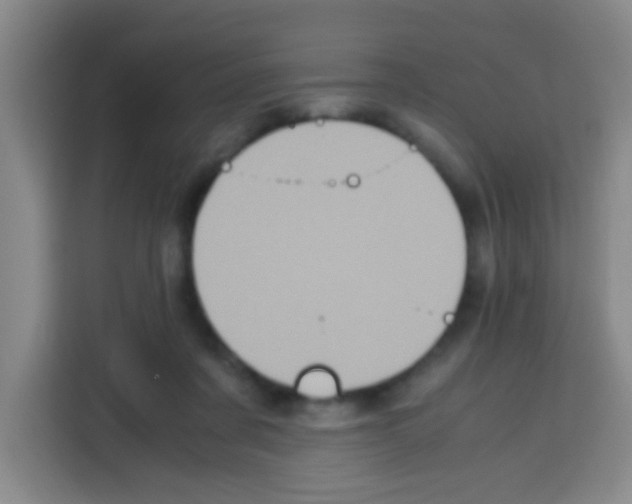 X0000112970311200910081051