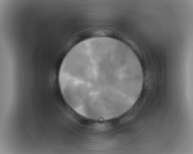 X0000112970314200910081051
