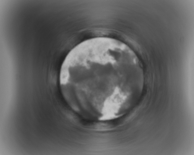 X0000112970315200910081051